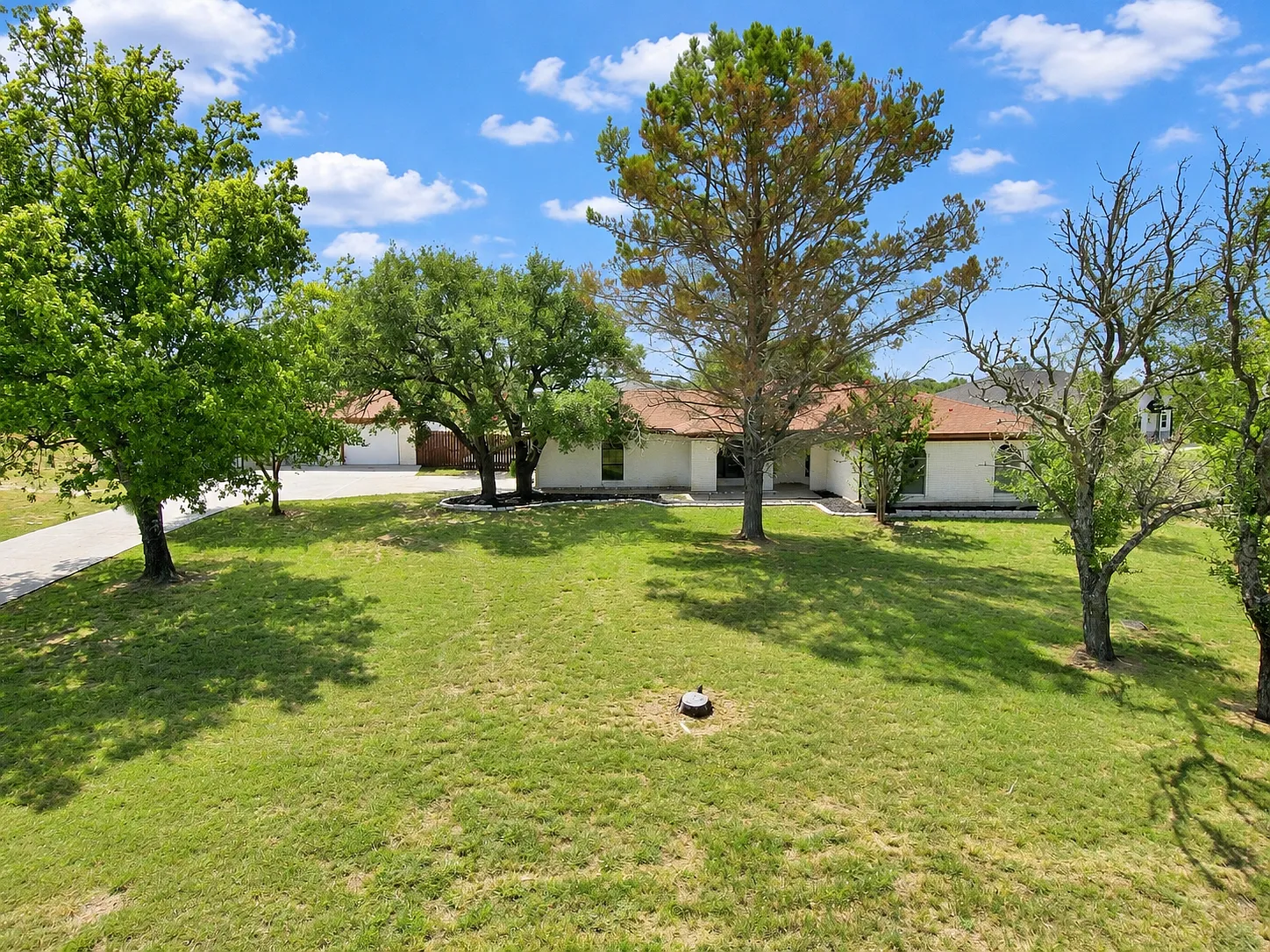 2acres & 4 Car Garage. — Photo 3