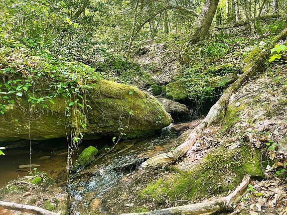 Creek