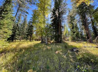 LOT 42 W Woodland Springs Rd, Lead, SD 57754