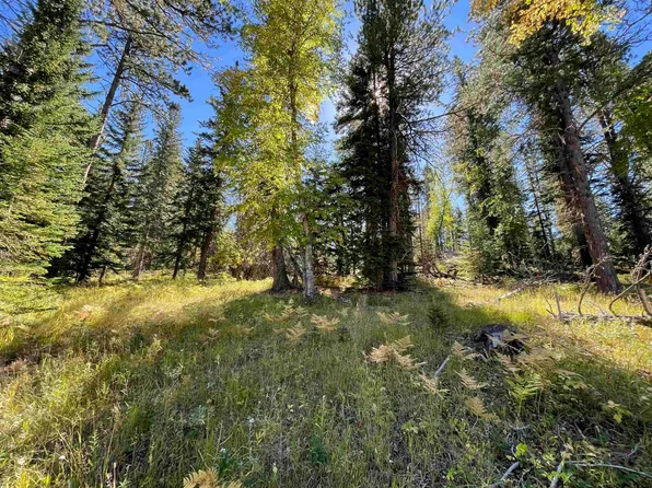 LOT 42 W Woodland Springs Rd, Lead, SD 57754