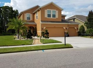 22909 Wood Violet Ct, Land O Lakes, FL 34639