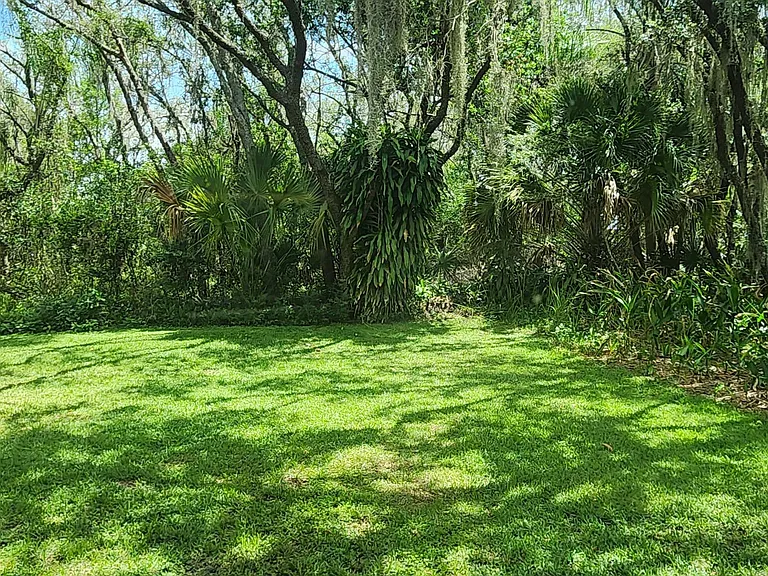 2124 W Myakka Rd — Photo 9