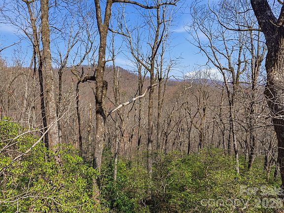 4th image of Panther Mountain Rd #18