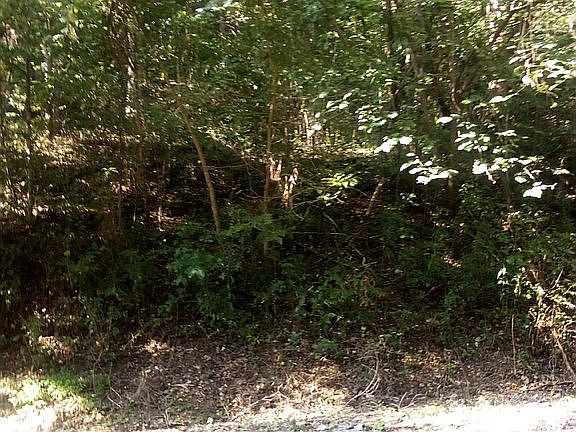 5th image of Center Hill Shores Dr