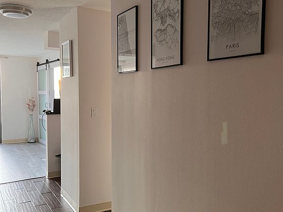 5th image of 440 N Wabash Ave APT 2501