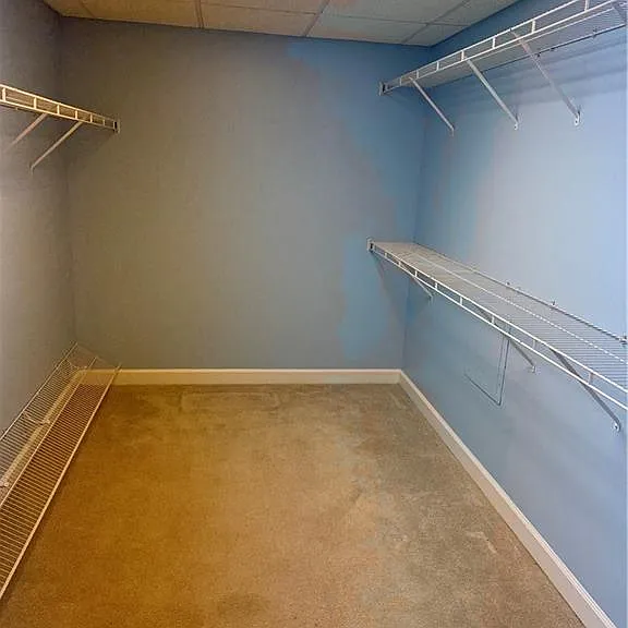 1120 Lewis Ridge Cir — Photo 5