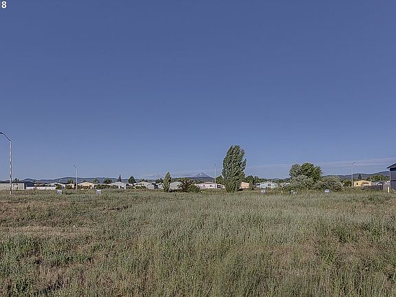 3rd image of 7867 Phaedra Ln