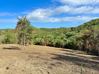 REM 9A Montpellier PR, Frederiksted, VI, 00840