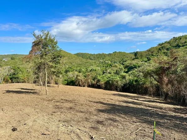 REM 9A Montpellier PR, St. Croix, VI 00840