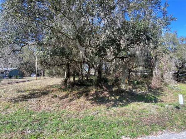 NE 39th Ct Lot 11, Citra, FL 32113
