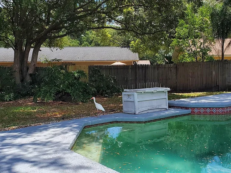 703 Regency Ct — Photo 13