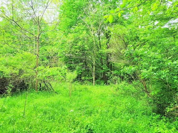 4009 County Road 25, Cardington, OH 43315