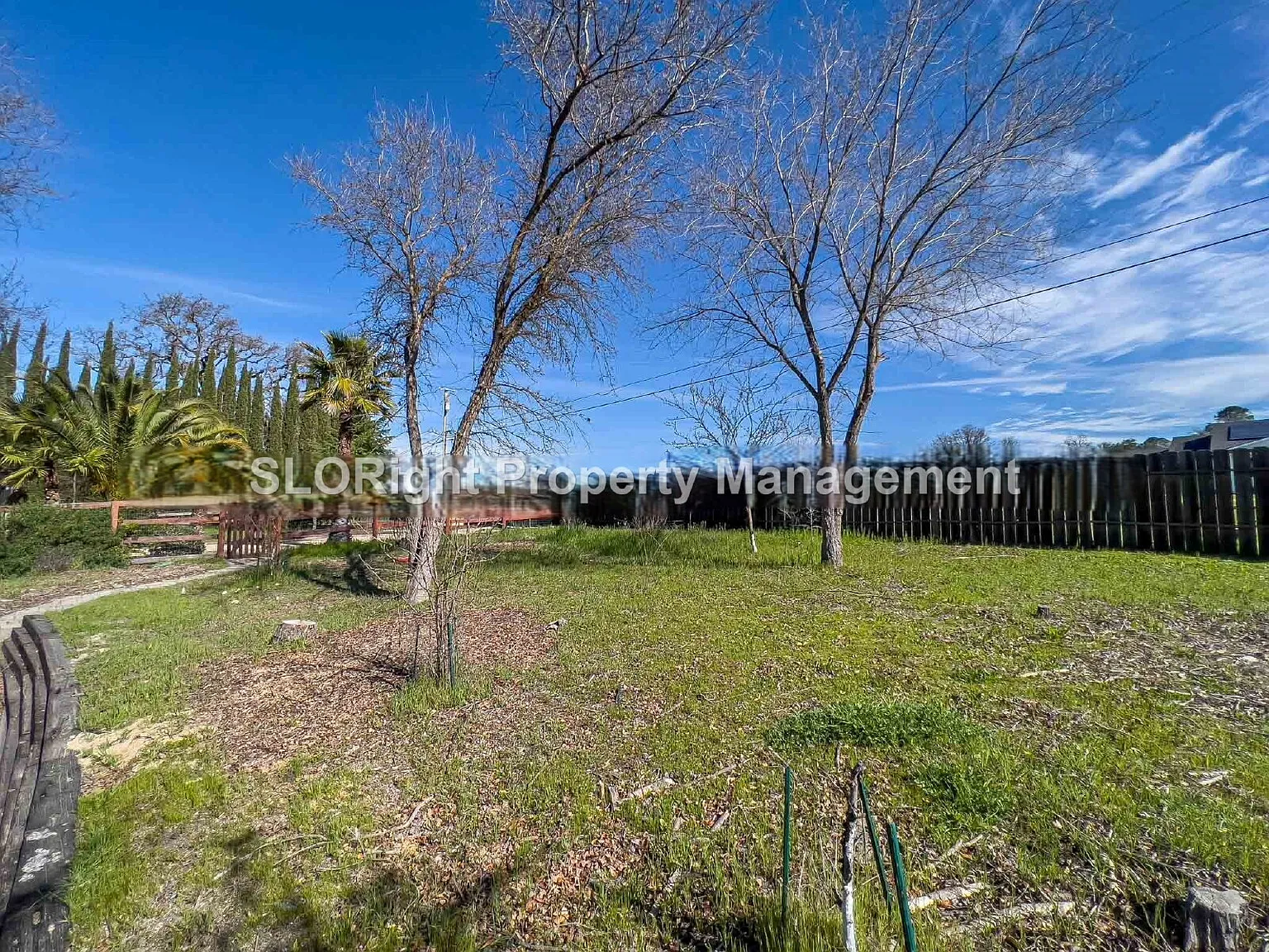 1 bed, 1.0 bath, $1,950 — Photo 2