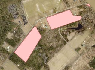 1298 Ports Hill Dr, Hemingway, SC 29554