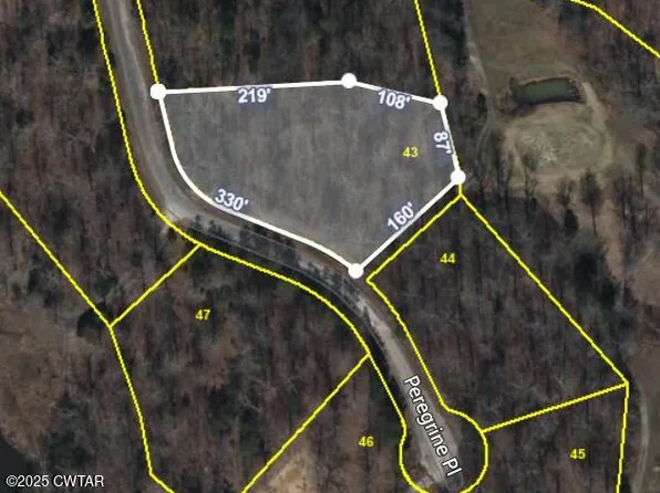 43 Peregrine Pl, Cedar Grove, TN 38321