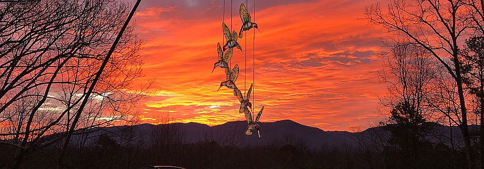 View From Front Deck