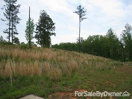 Street view
						:
						View from street looking at the lot.