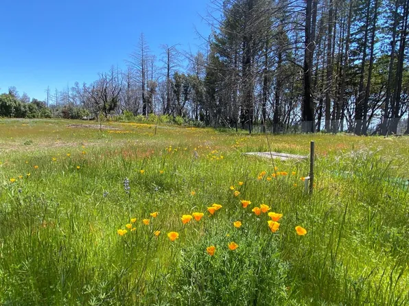 70 Braemoor Dr, Santa Cruz, CA 95060