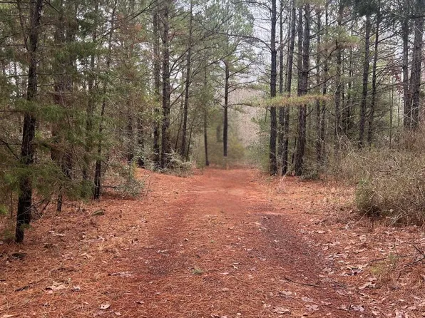 County Road 2138 N, Tatum, TX 75691