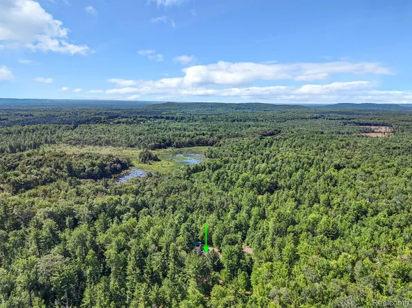 2738 S Thompsonville Rd, Thompsonville, MI 49683