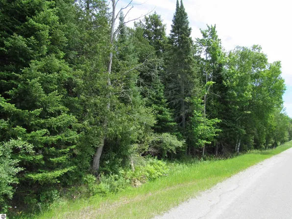 0 N Poor Farm Rd, Harrisville, MI 48740