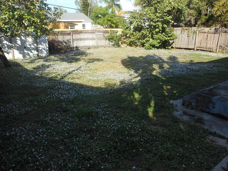 backyard