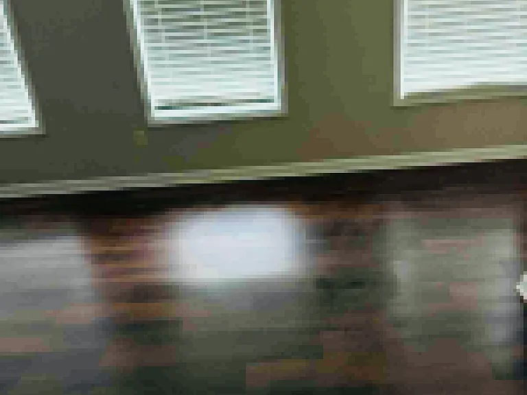 2932 Greyhawk Ln — Photo 12