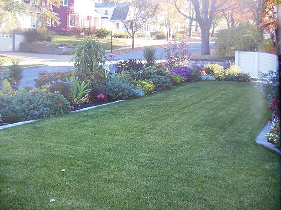 Professionally Landscaped