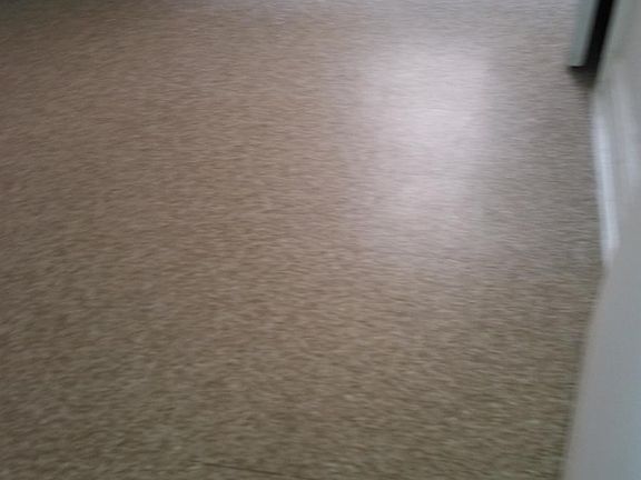 5th image of 3464 Knox Pl #2
