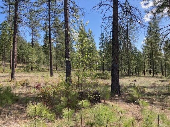 1178 Fumi Cir, Kettle Falls, WA 99141