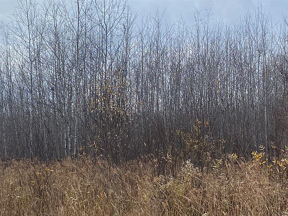 5th image of Near Timber Road