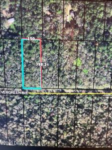 3684 Evergreen Ave, Bunnell, FL, 32110