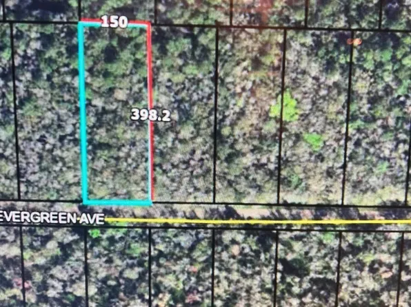 3684 Evergreen Ave, Bunnell, FL 32110