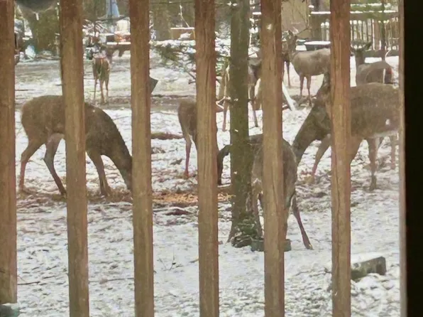 86 Birch Ln, Crown, PA 16220