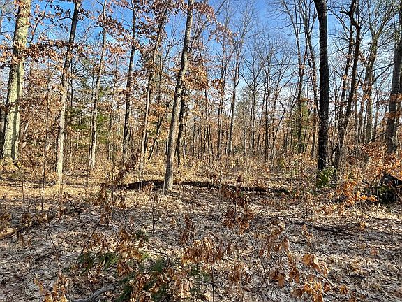 5th image of 21210 Twelve Mile Rd