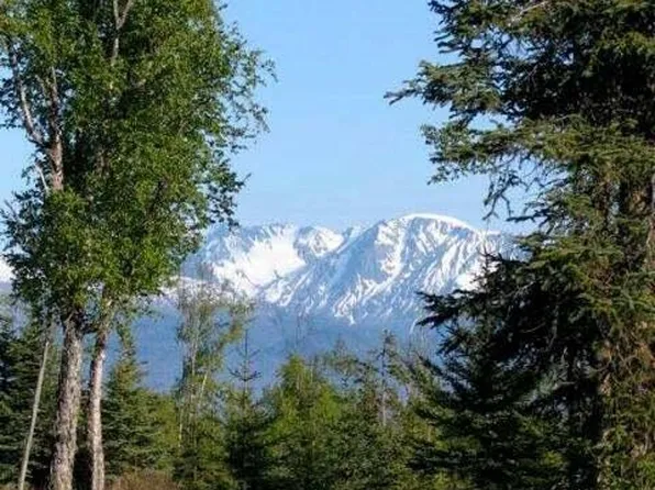 54575 Rolling Meadows Rd, Homer, AK 99603
