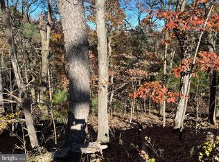 0 Hoods Point Rd, Basye, VA 22810