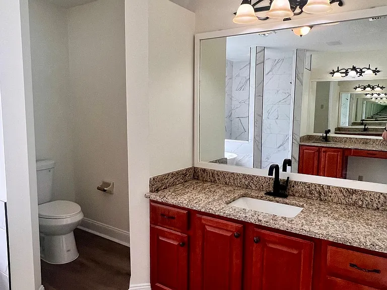 Primary bathroom water closet