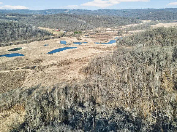 Zwettler Rd, Arena, WI 53503