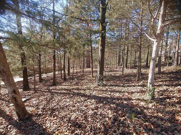 3rd image of 59 Single Oaks Dr