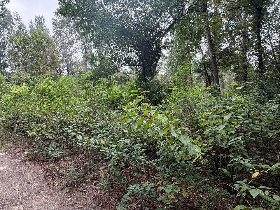1st image of 0 Cottonwood Pl