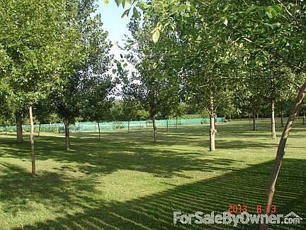 Beautiful backyard with mature trees surrounding a commercial garden.