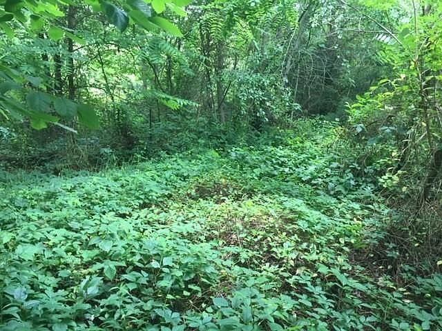 2nd image of 117 Norris Rd