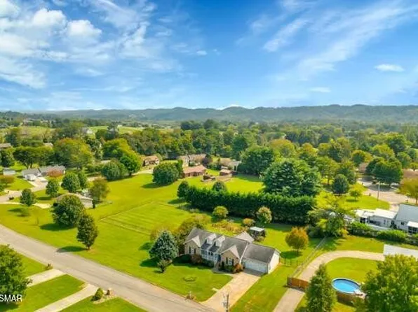 225 Golden Rod Dr, Seymour, TN 37865