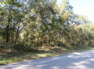 358 N Savary Ave, Inverness, FL 34453