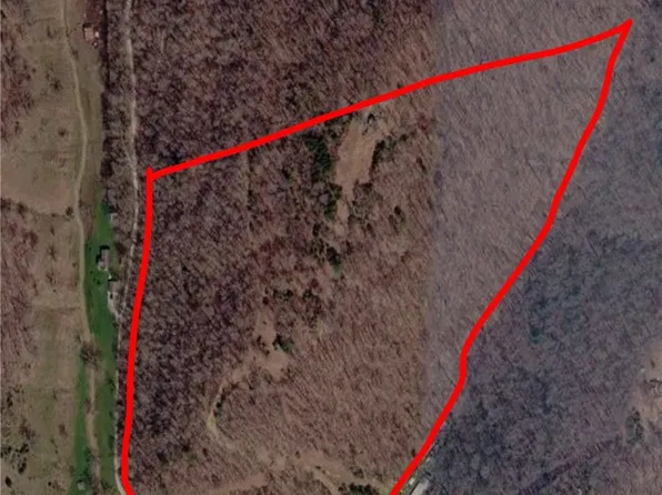3212 Leading Creek Rd, Big Springs, WV 26137