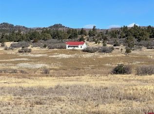 601 County Road 224, Durango, CO 81301