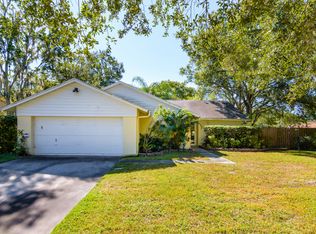 5416 Brushy Creek Dr, Tampa, FL 33625