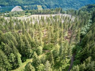 1 Sauer Ln, Cougar, WA 98616