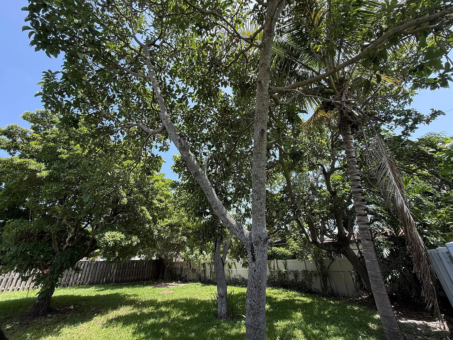 2 bed, 1.0 bath, 1347 sqft, $3,000 — Photo 4